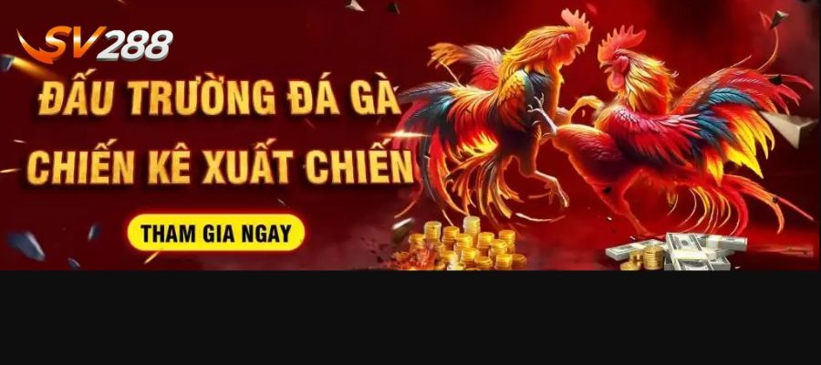 SV288 nằm trong top các trang chơi đá gà trực tiếp uy tín